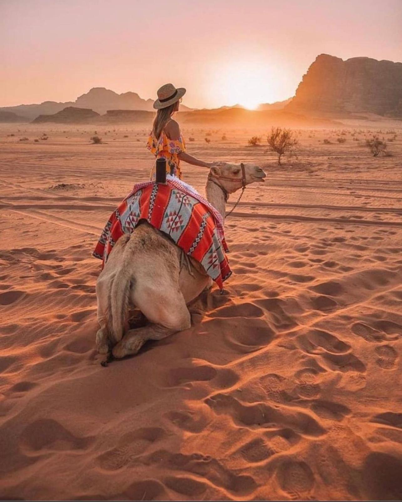 Wadi Rum Desert Camp Ad Disah エクステリア 写真