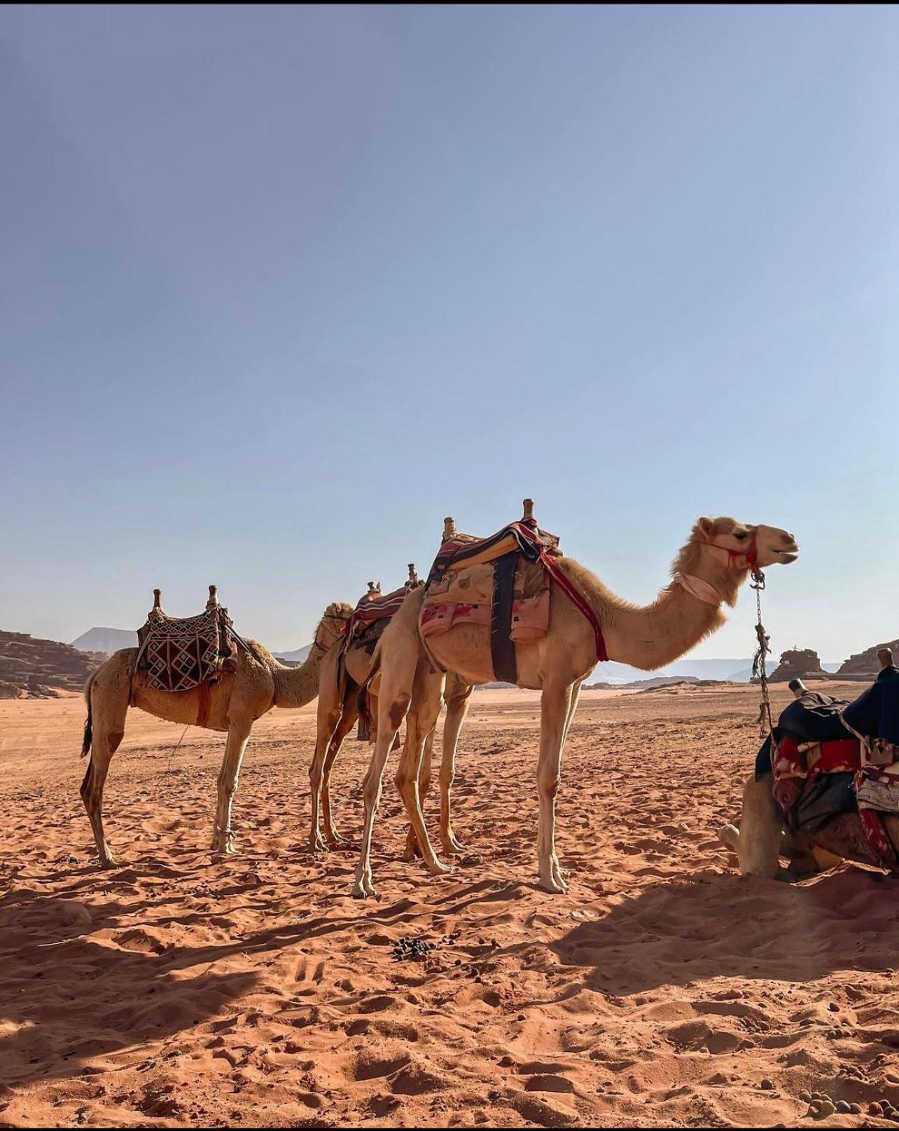 Wadi Rum Desert Camp Ad Disah エクステリア 写真