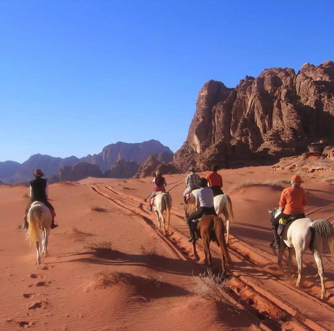 Wadi Rum Desert Camp Ad Disah エクステリア 写真