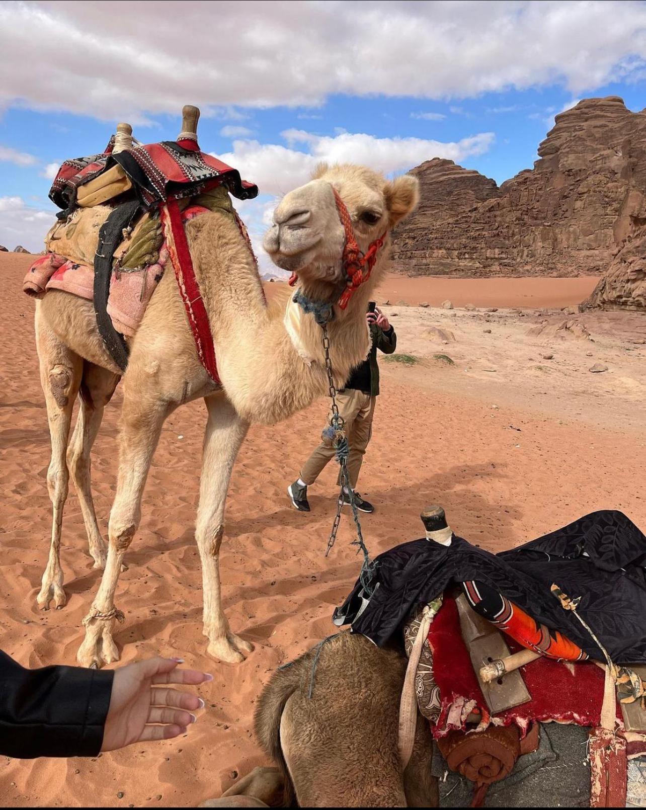 Wadi Rum Desert Camp Ad Disah エクステリア 写真