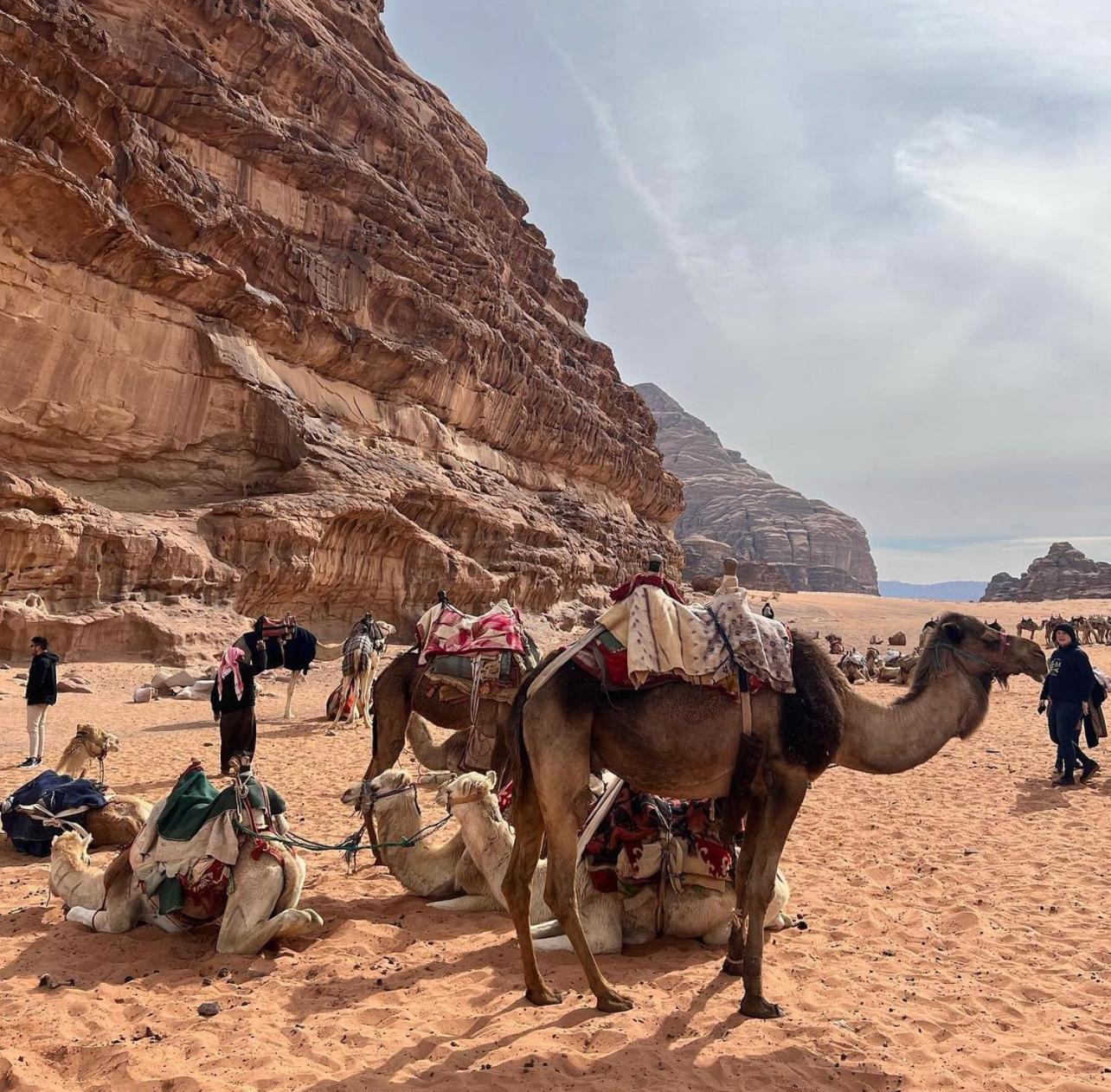 Wadi Rum Desert Camp Ad Disah エクステリア 写真