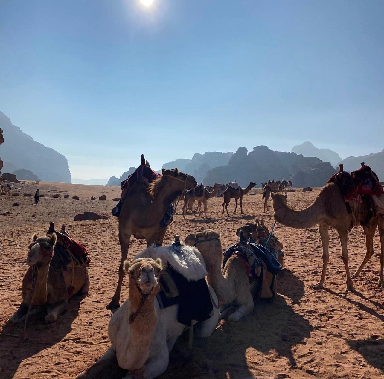 Wadi Rum Desert Camp Ad Disah エクステリア 写真