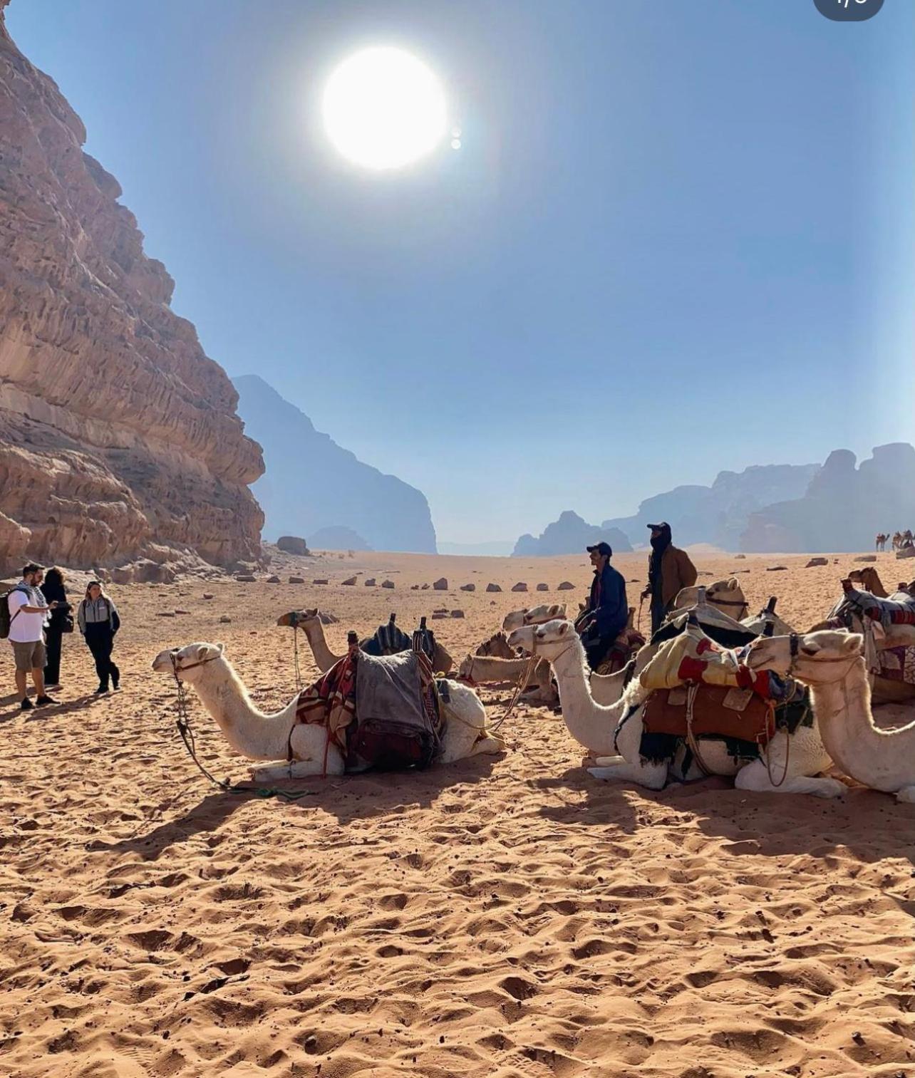 Wadi Rum Desert Camp Ad Disah エクステリア 写真